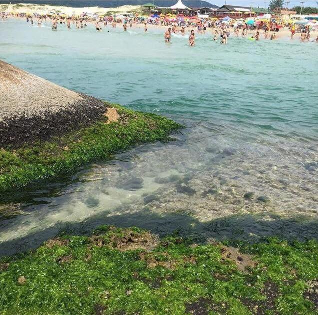 Apartamento Dunas Da Joaquina *